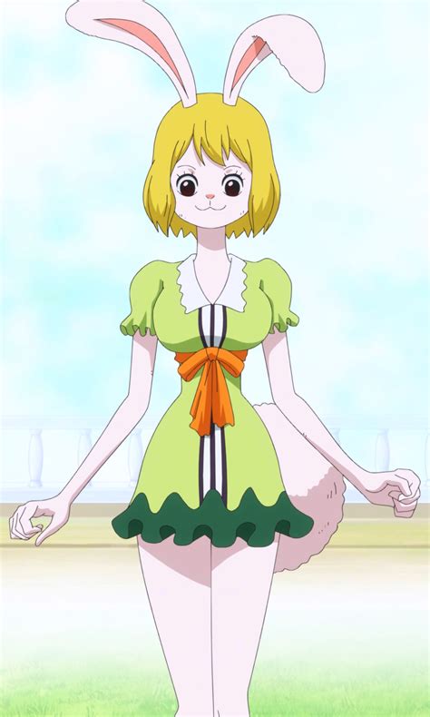 one piece carrot sex|Character: carrot